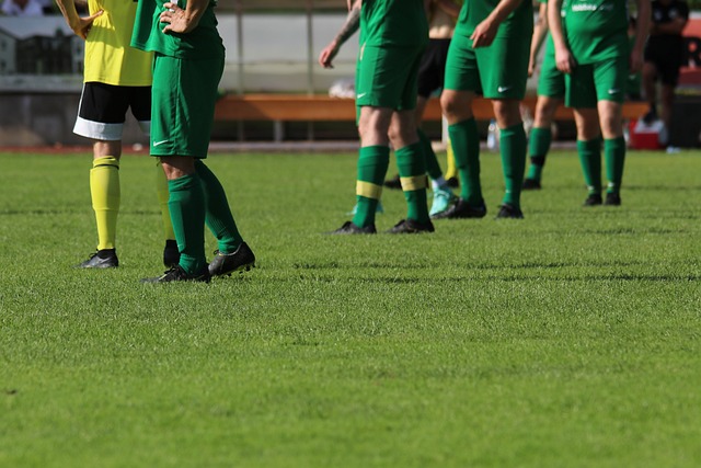 是出于维护 是出于维护