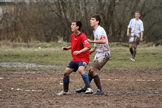 从场上的表 从场上的表