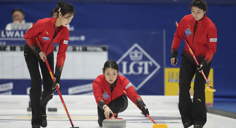 了鲜明对比 了鲜明对比