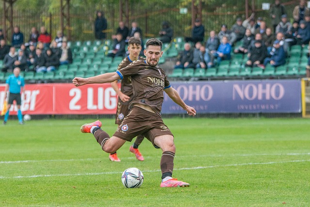 他们不仅用 他们不仅用