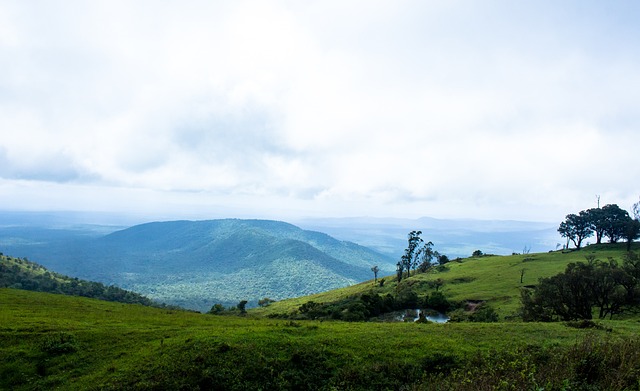战略考虑 战略考虑