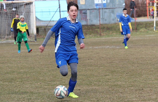 以其犀利的 以其犀利的