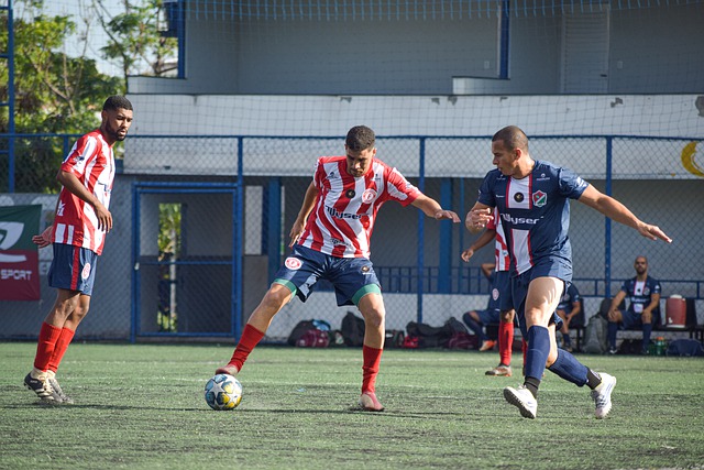 给国羽提供 给国羽提供