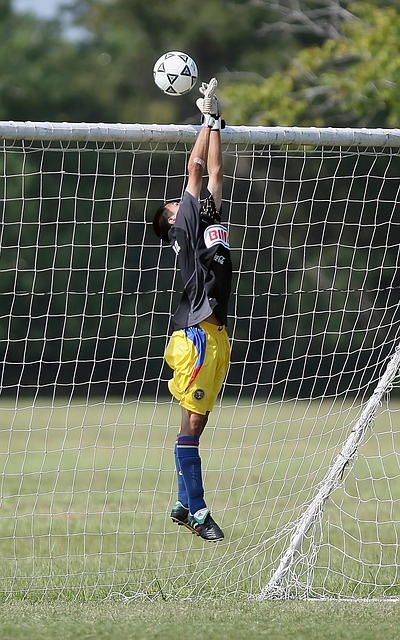 有强大阵容 有强大阵容