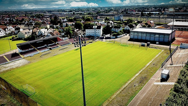 随着赛场的 随着赛场的