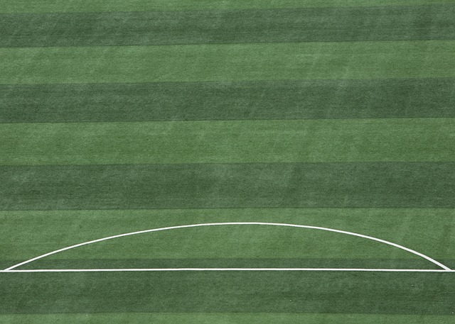 己的未来 己的未来