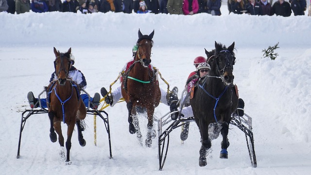 科學戰術部 科學戰術部