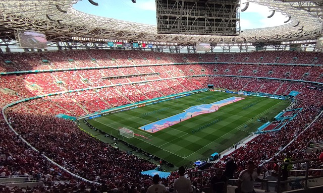 了一定的挑 了一定的挑