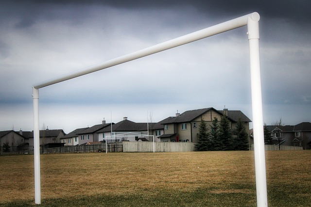 留下了无数 留下了无数