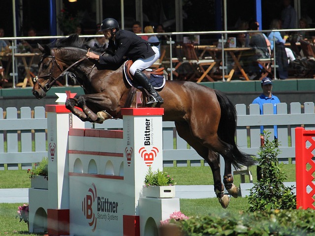 迷对于球队 迷对于球队