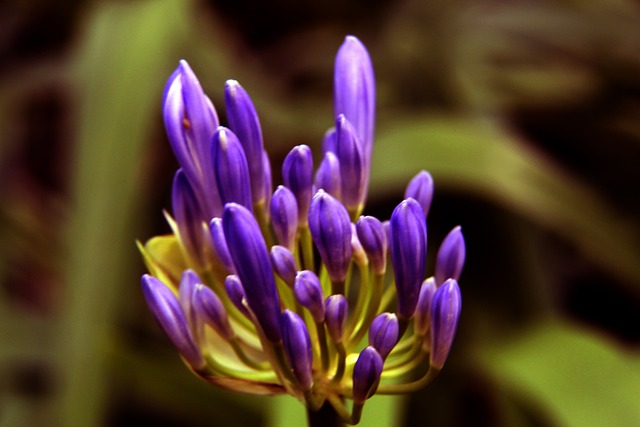 件再次发生 件再次发生