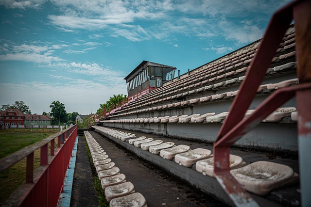 夺的新宠 夺的新宠