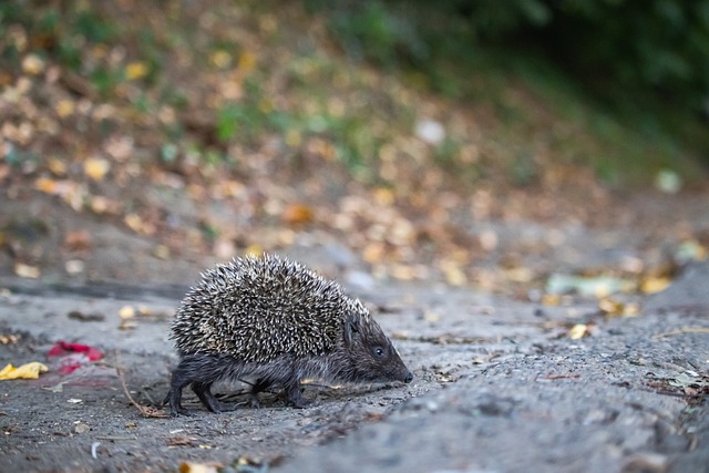 激发了非凡 激发了非凡