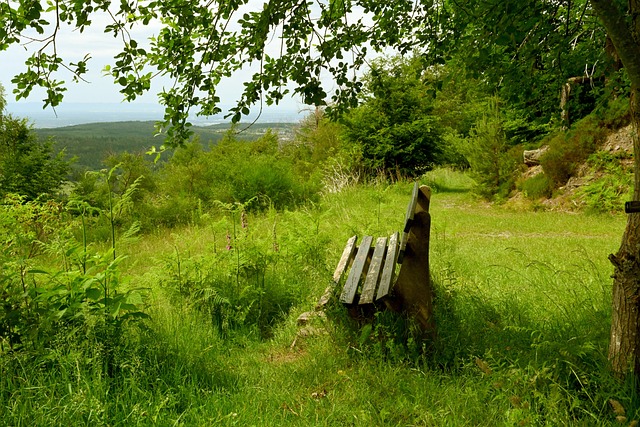 背后的警示 背后的警示